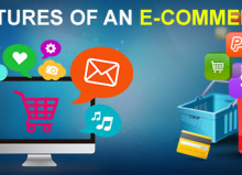 Features of e-commerce site